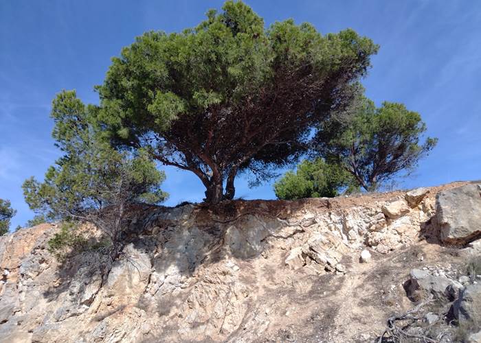 La nature préservée à de nombreux endroits