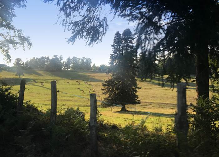 à la croisée des chemins environnants