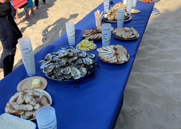 dégustation d'huîtres