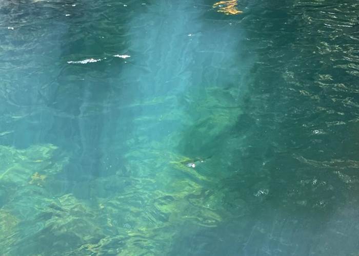 Le bassin bleu à Gourbeyre