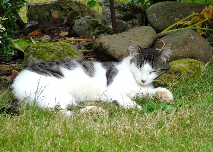 Maison_ sieste de kikuiu