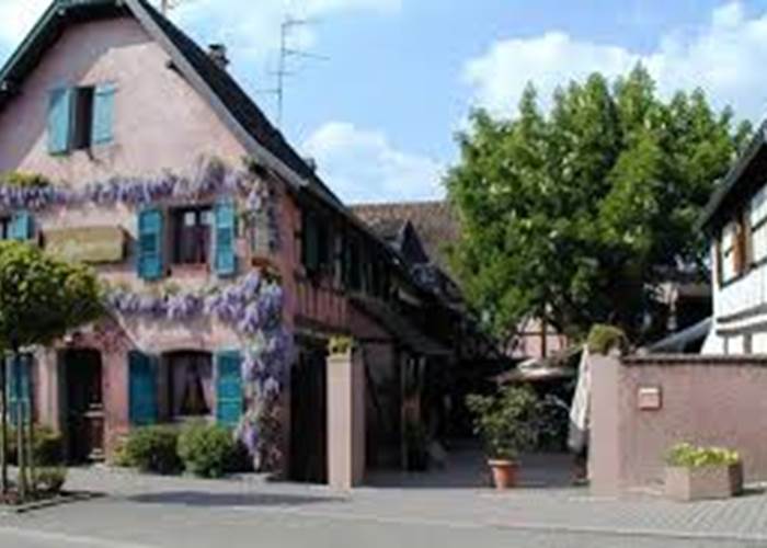 LE MARRONNIER