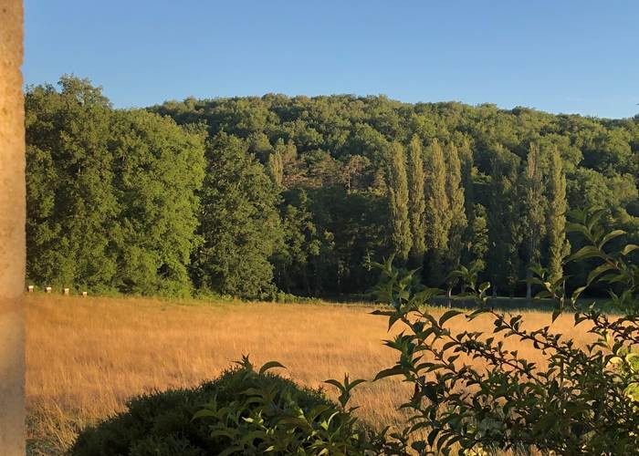 Rucher dans la prairie