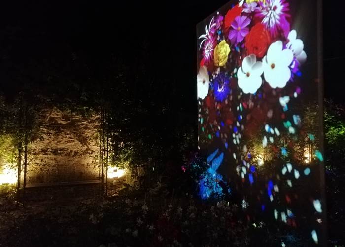 ANIMATIONS LUMINEUSES DANS LES JARDINS DE CANON