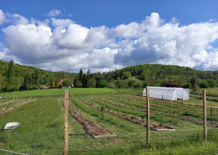 Plantation du verger
