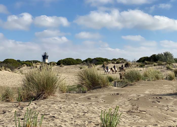 Plage de l'Espiguette