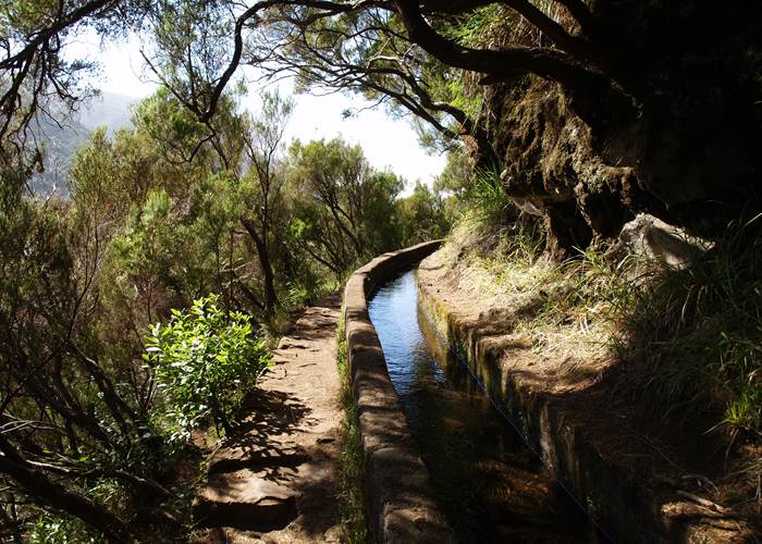 LEVADA