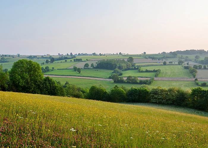 Paysages vallonnés et campagne du Pays de Herve, idéals pour la randonnée et le vélo. Photo : J.M. Merlin – CC BY-SA 3.0 – Wikimedia Commons