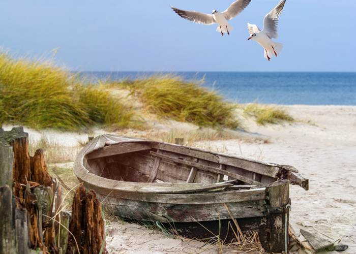 La-cotentine-manche-chambre-hotes-MER-BARQUE