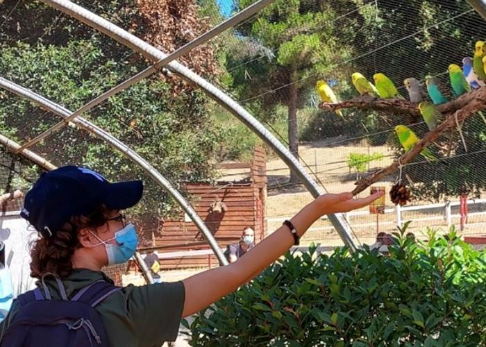 nourrissage-perruches