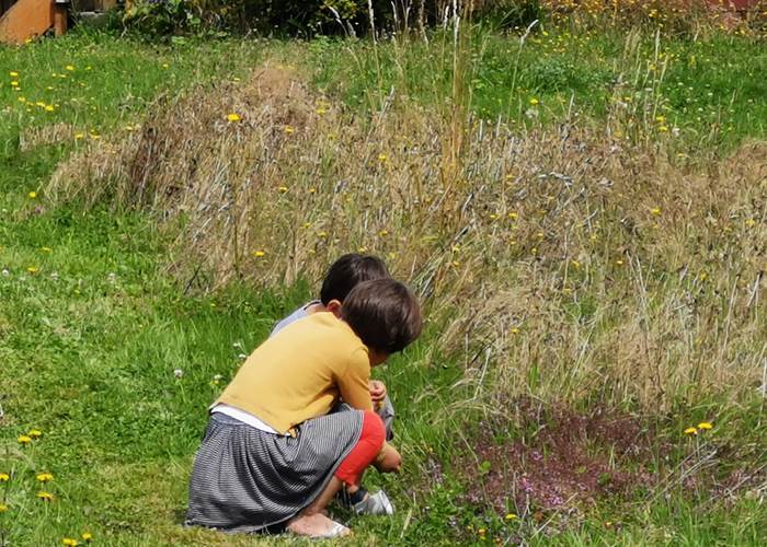 Le jardin-forêt un paradis pour les enfants