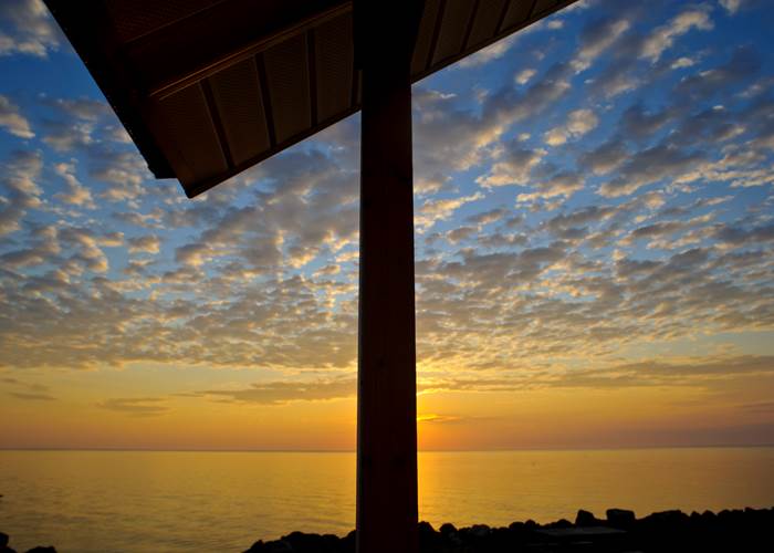 L_Acadien Sea Adventures_Mackerel_2011_14