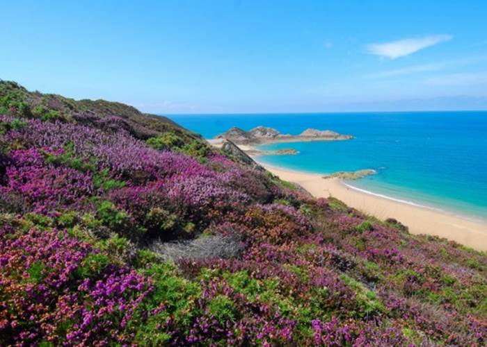 le-cap-erquy-600x402-page