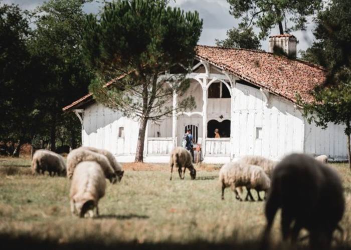 Ecomusée de Marqueze dans les Landes