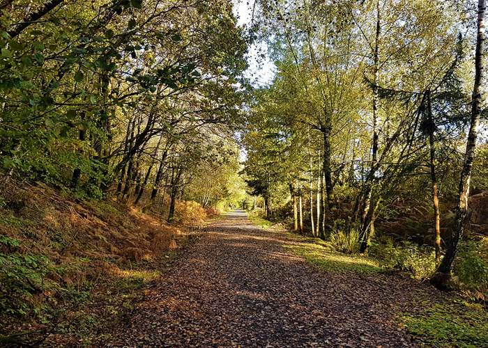 Balade dur le pré-ravel à Morhet