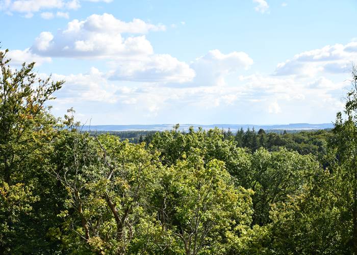 Muno: Paysage vu du sommet de la Roche à l'Appel