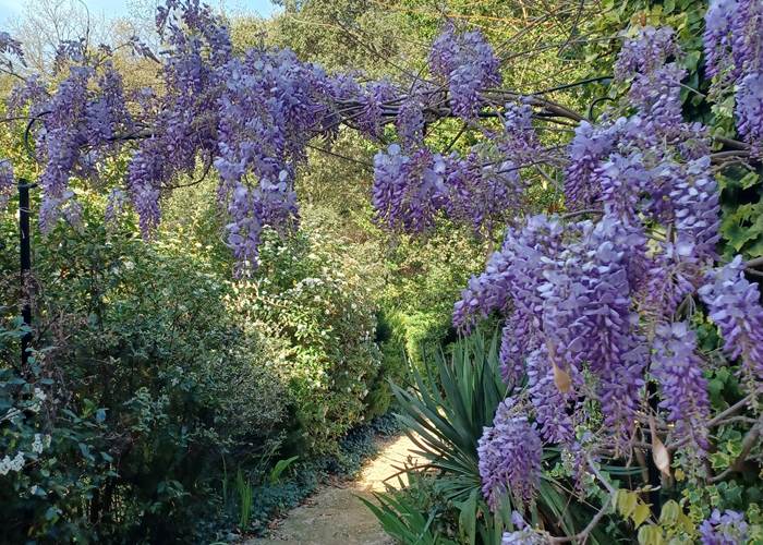 Le Jardin Paysager