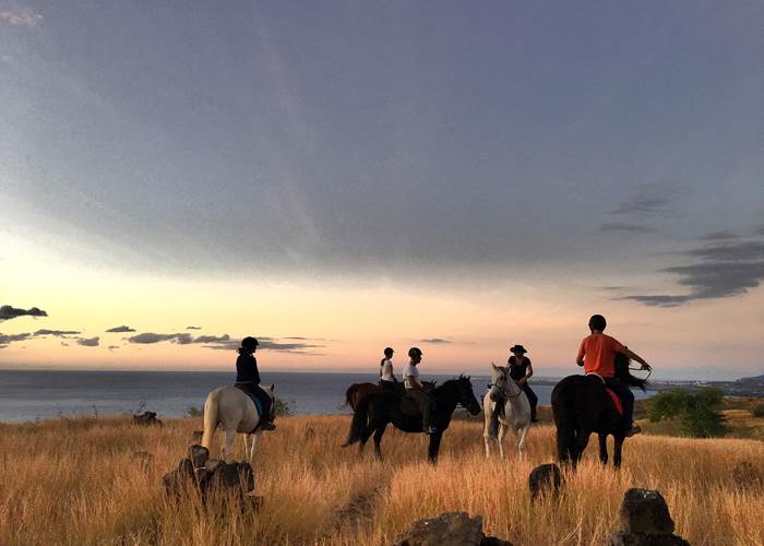 Cheval couché du soleil