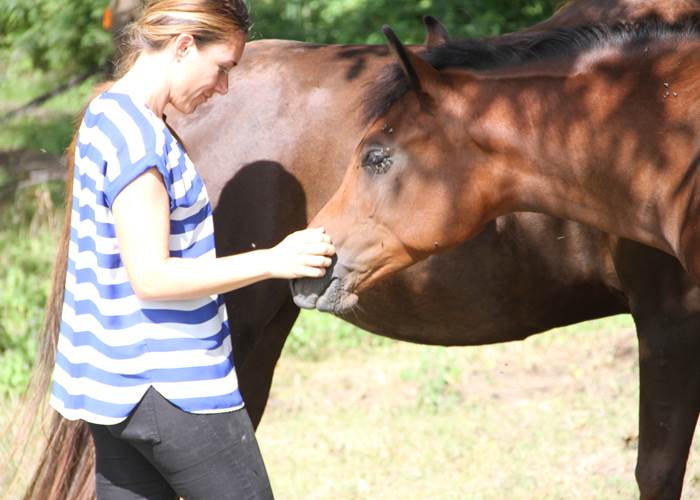 Connecting with young foals