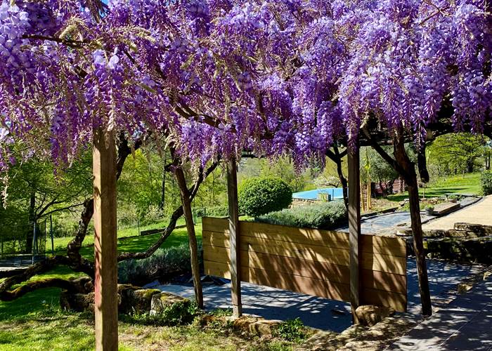 Glycine