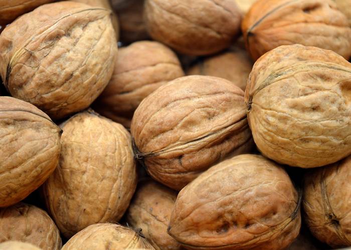 NOIX DU PERIGORD/ HUILE DU PERIGORD