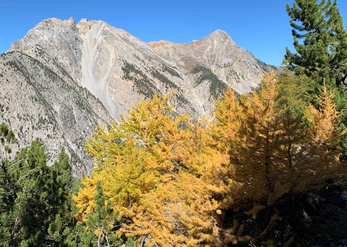 La Clarée aux couleurs de l'automne.