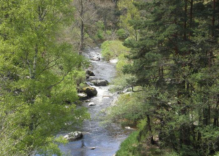 Le ruisseau le Grandrieu