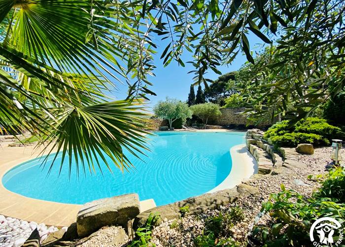 Piscine privée partagée avec tous nos hôtes