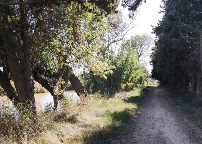 Le chemin de halage à Vias-plage