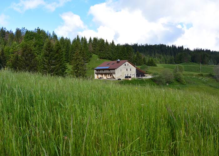 Gîtes Tré le Grenier - Les Moussières - Vue depuis les champs