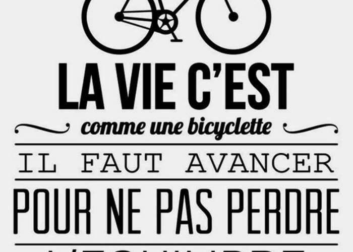 vélo marais