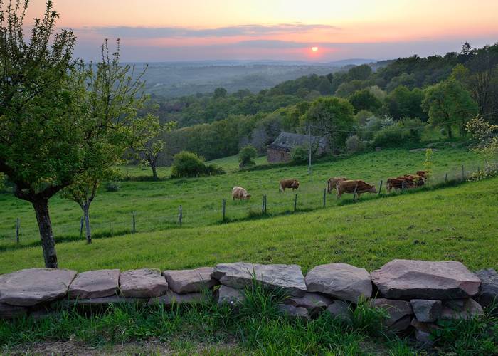 Jardin de la Maison des Etoiles
