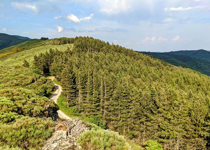 Ligne cretes Gard Aveyron-page