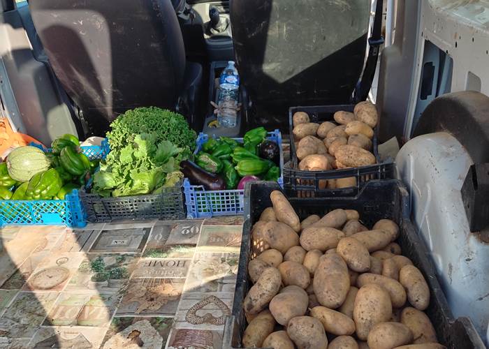 Ce jour, une belle récolte au potager  😍