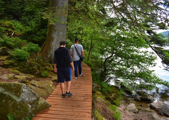 Sentier autour du Lac de Gérardmer, Vosges