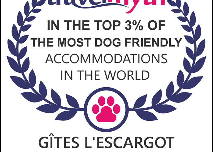 chiens-bienvenus-dog-friendly-pet-friendly- toutes-races