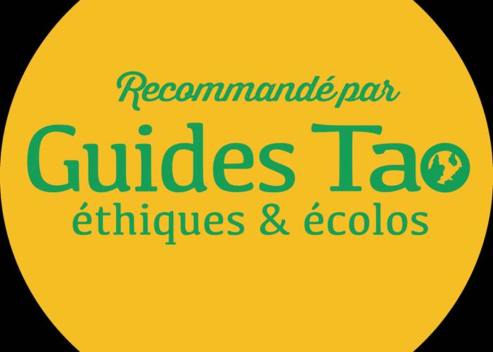 Sans titre