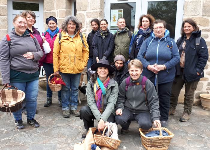 Sortie plantes sauvages comestibles 2023 Asso Kloreaufil