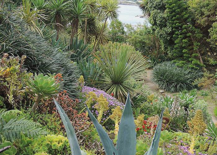 Jardin Georges Delaselle