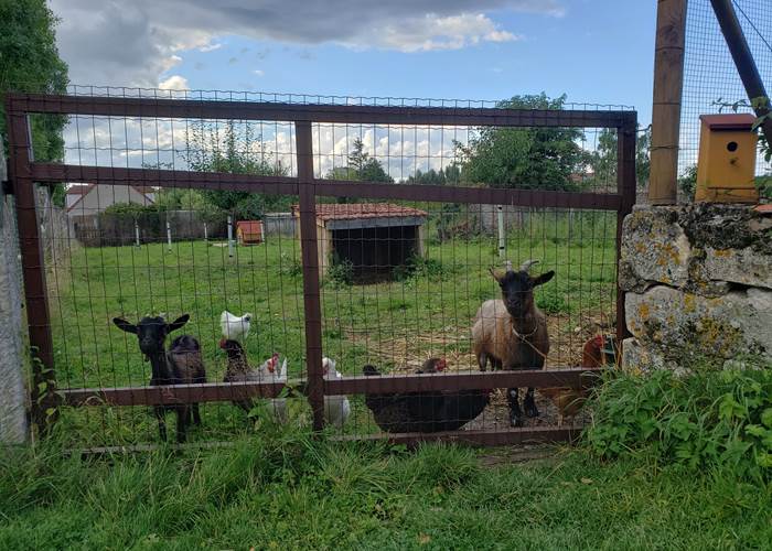 Le bureau des réclamations !!!-page