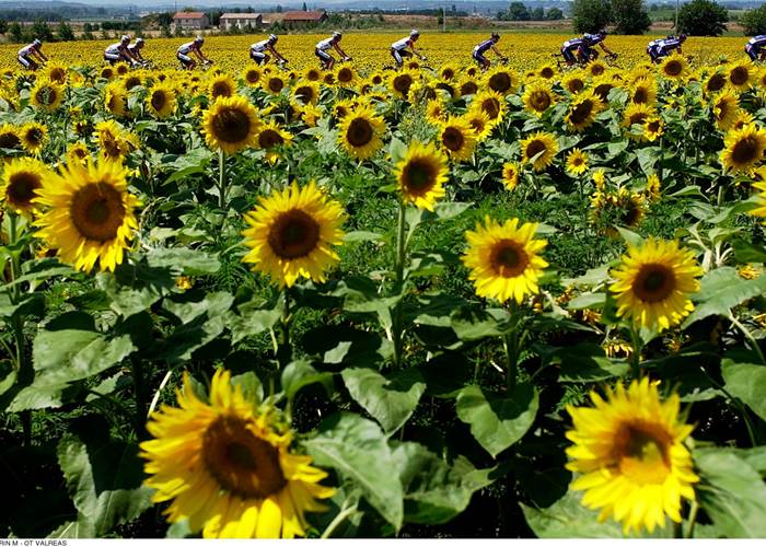 Vélo dans la nature.Copyright.176--PELLEGRIN_M_-_OT_VALREAS-1600px