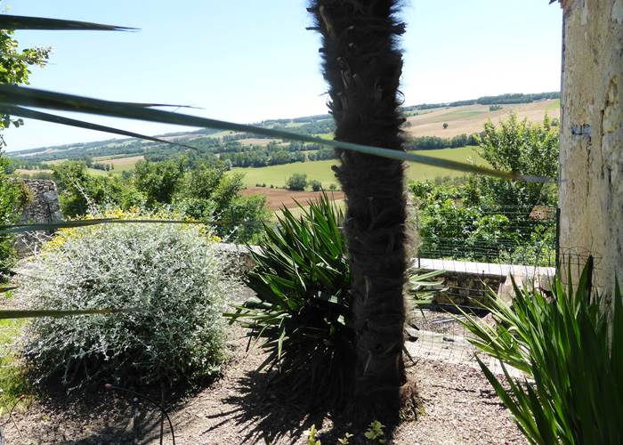 fond du jardin vers vallee