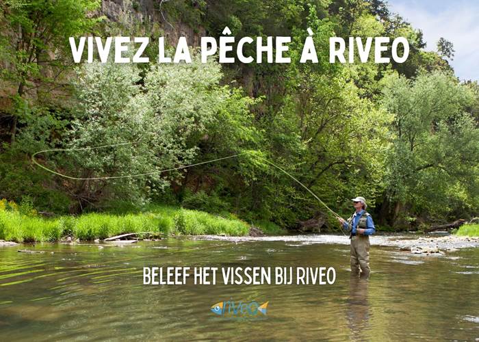 experience-peche-mouche-lancer-famille-riveo-wallonie