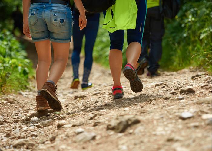 Marche en forêt-news