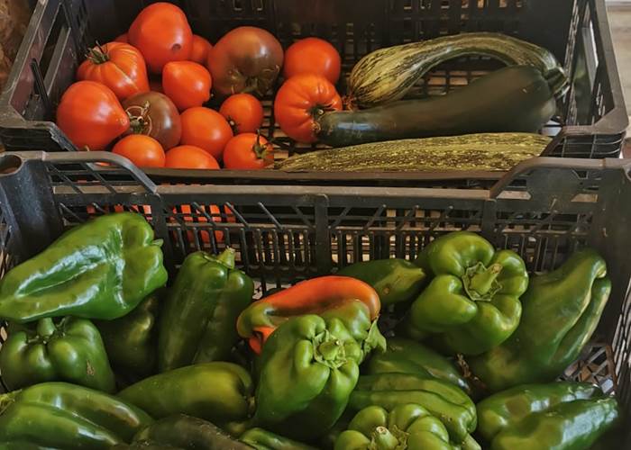 Venez savourer nos légumes du potager gorgés du soleil du Sud