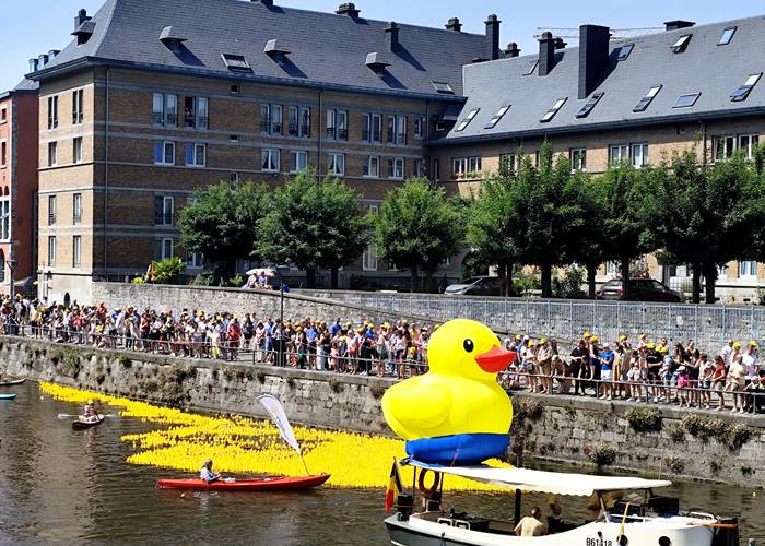 Namur: le Canamurois