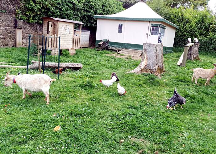 Tout le monde s'est adapté-news