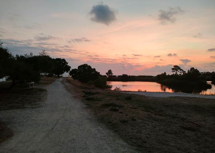 Promenade au bord de l’eau au coucher du soleil à Taussat sur le Bassin d’Arcachon
