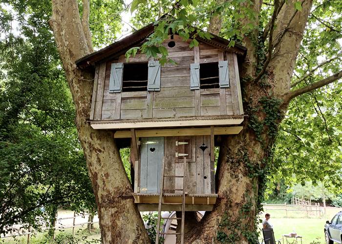 La cabane magique du grand platane