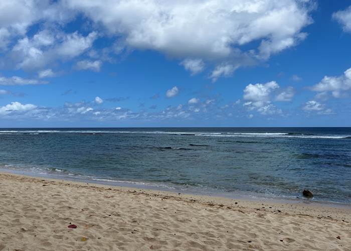 Petite Anse à Bouillante ( idéale pour du snorkelling)